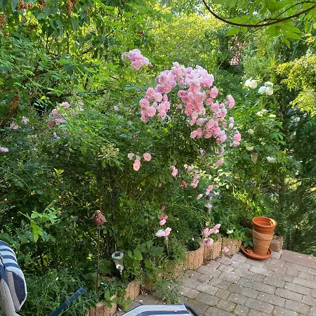 Apartment Mit Schoener Terrasse. *